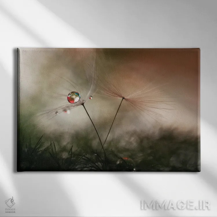 تابلو دکوراتیو با و بدون اثر هایدی وستوم - نمای روبهرو روی دیوار