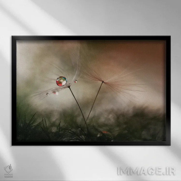 تابلو دکوراتیو با و بدون اثر هایدی وستوم - نمای قابدار مشکی