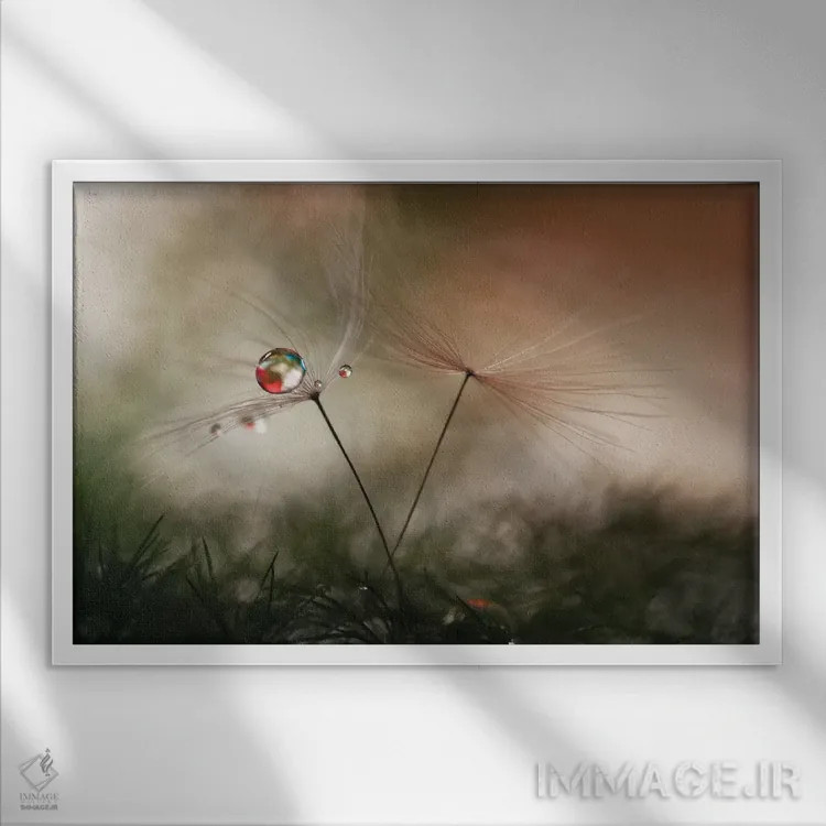 تابلو دکوراتیو با و بدون اثر هایدی وستوم - نمای قابدار سفید