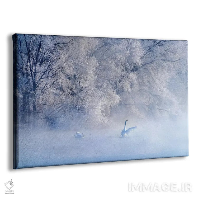 تابلو دکوراتیو دریاچه قو اثر هوا ژو - نمای پرسپکتیو محصول