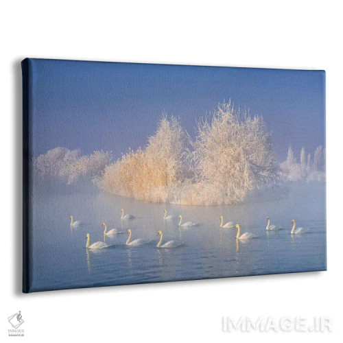 تابلو دکوراتیو دریاچه قو اثر هوا ژو - نمای پرسپکتیو محصول