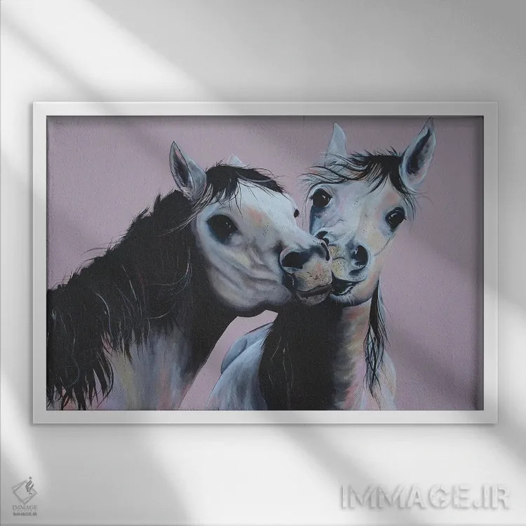 تابلو دکوراتیو اسب ها در حال بوسیدن اثر هیلی موریس - نمای قابدار سفید