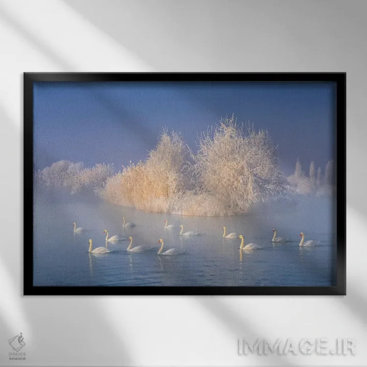 تابلو دکوراتیو دریاچه قو اثر هوا ژو - نمای قابدار مشکی