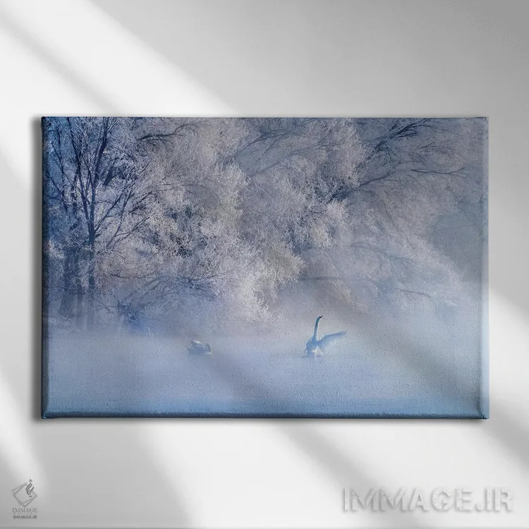 تابلو دکوراتیو دریاچه قو اثر هوا ژو - نمای روبهرو روی دیوار