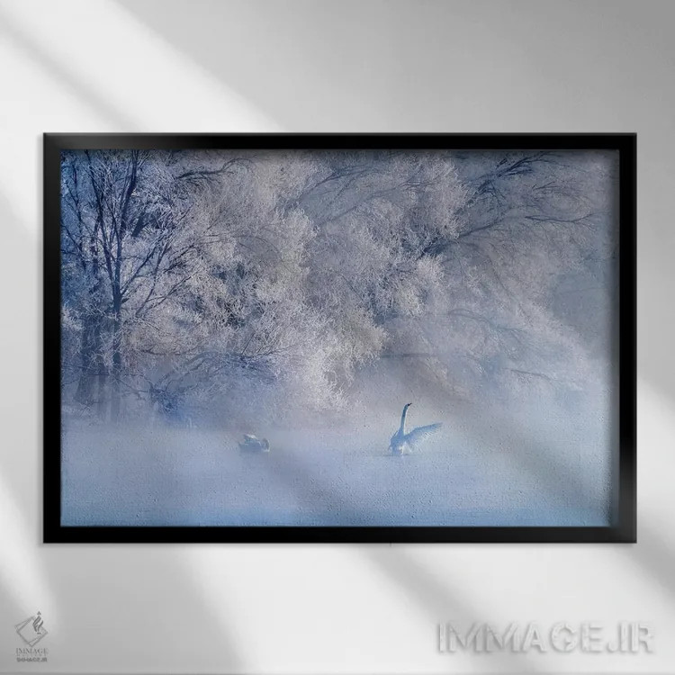 تابلو دکوراتیو دریاچه قو اثر هوا ژو - نمای قابدار مشکی