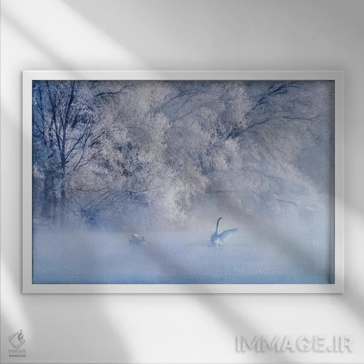 تابلو دکوراتیو دریاچه قو اثر هوا ژو - نمای قابدار سفید