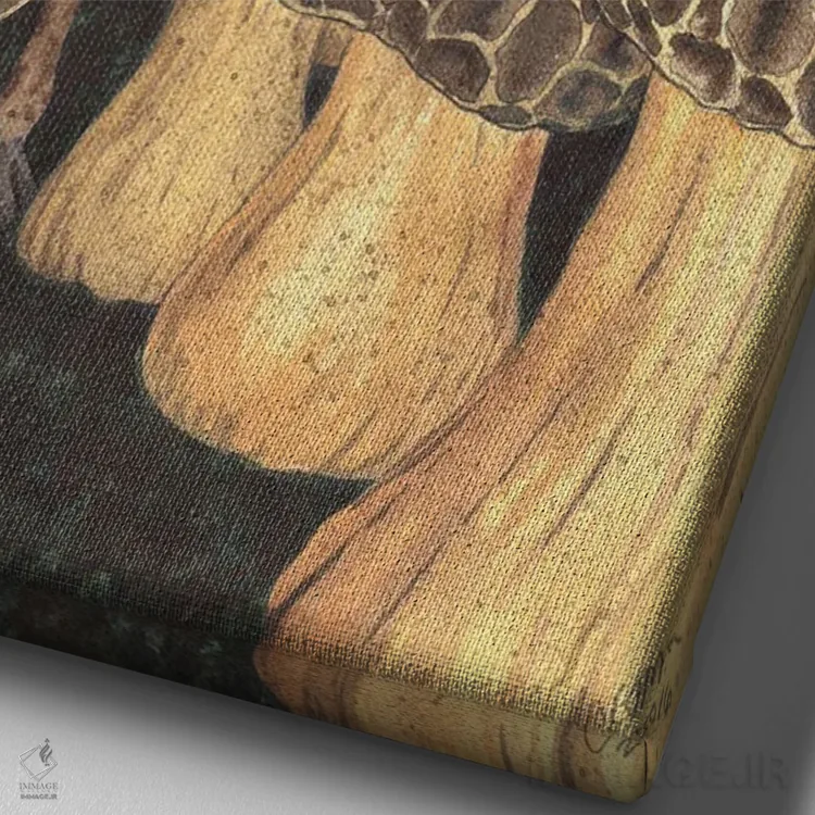 تابلو دکوراتیو مثل پیدا کردن زرافه ای در یک مزرعه قارچ موریل است اثر کترین جی مک الروی - نمای نزدیک بافت بوم