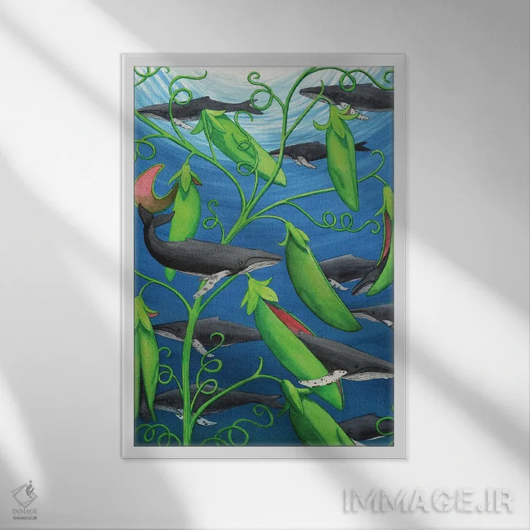 تابلو دکوراتیو غلاف ها اثر کترین جی مک الروی - نمای قابدار سفید