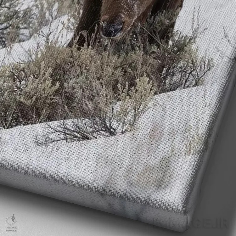 تابلو دکوراتیو winter survival,بقای گوزن نر کوهستان راکی در زمستان اثر کن آرچر - نمای نزدیک بافت بوم