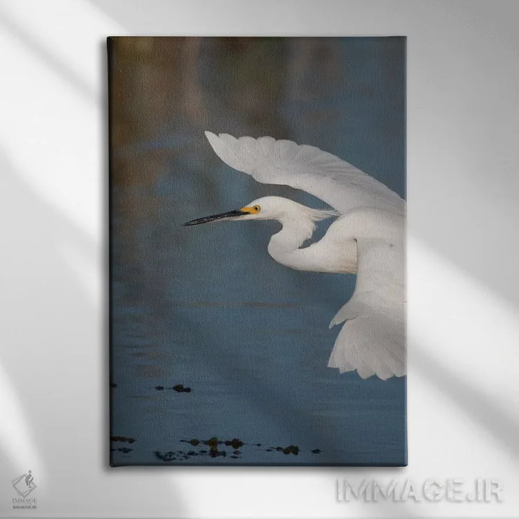 تابلو دکوراتیو پرواز اگرت برفی اثر کن آرچر - نمای روبهرو روی دیوار