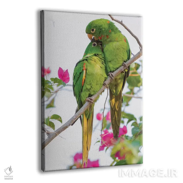 تابلو دکوراتیو پاراکیت چشم سفید مشغول تیمار یکدیگر اثر کن آرچر - نمای پرسپکتیو محصول