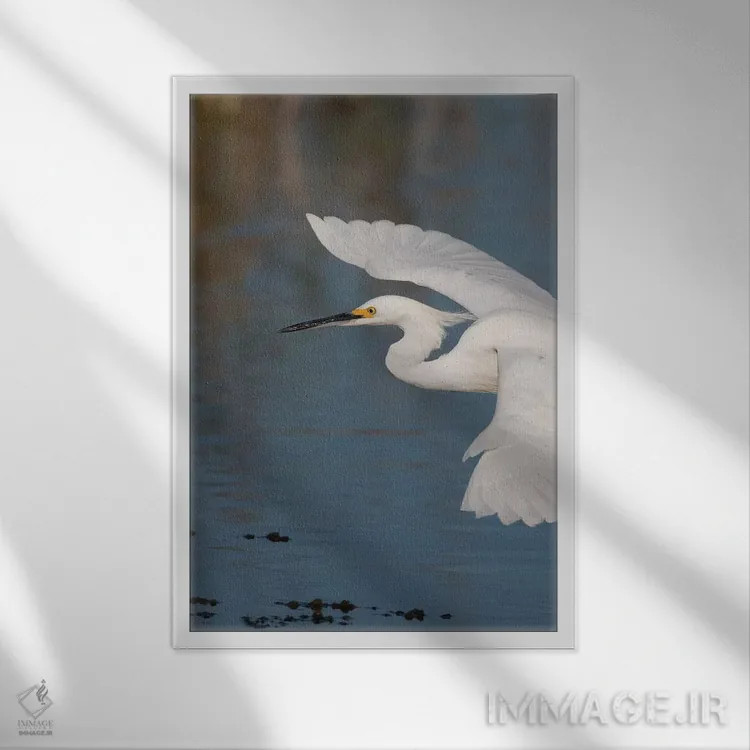 تابلو دکوراتیو پرواز اگرت برفی اثر کن آرچر - نمای قابدار سفید