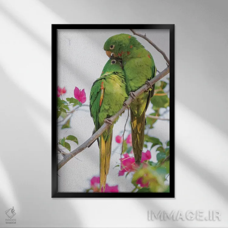 تابلو دکوراتیو پاراکیت چشم سفید مشغول تیمار یکدیگر اثر کن آرچر - نمای قابدار مشکی