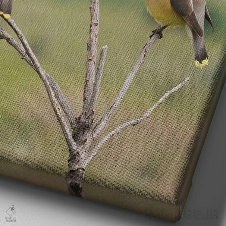 تابلو دکوراتیو Spring Migration,سدار وکس وینگ ها، مهاجرت بهاری اثر کن آرچر - نمای نزدیک بافت بوم