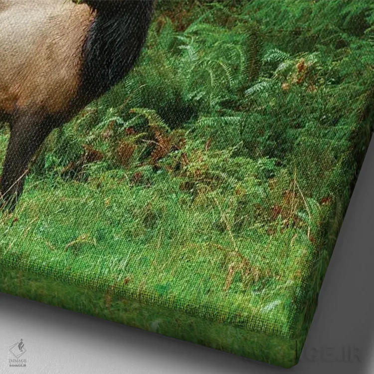 تابلو دکوراتیو Pacific Northwest Rainforest I,گوزن شاخ پهن روزولت نر، جنگل بار… اثر کن آرچر - نمای نزدیک بافت بوم