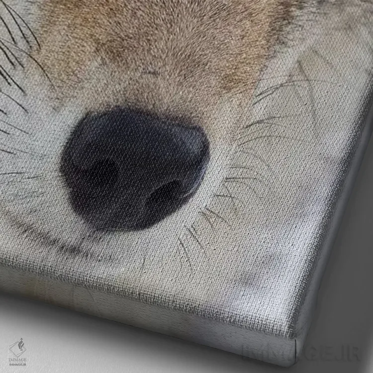 تابلو دکوراتیو نمای نزدیک کایوت اثر کن آرچر - نمای نزدیک بافت بوم