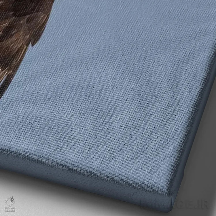 تابلو دکوراتیو عقاب سرسفید در حال پرواز اثر کن آرچر - نمای نزدیک بافت بوم