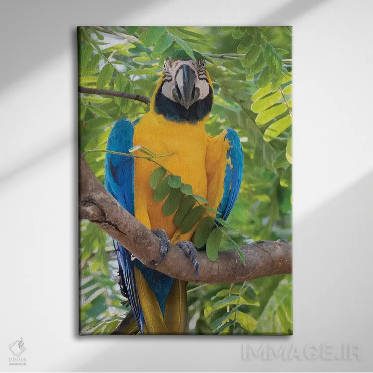 تابلو دکوراتیو ماکائوی آبی و طلایی اثر کن آرچر - نمای روبهرو روی دیوار