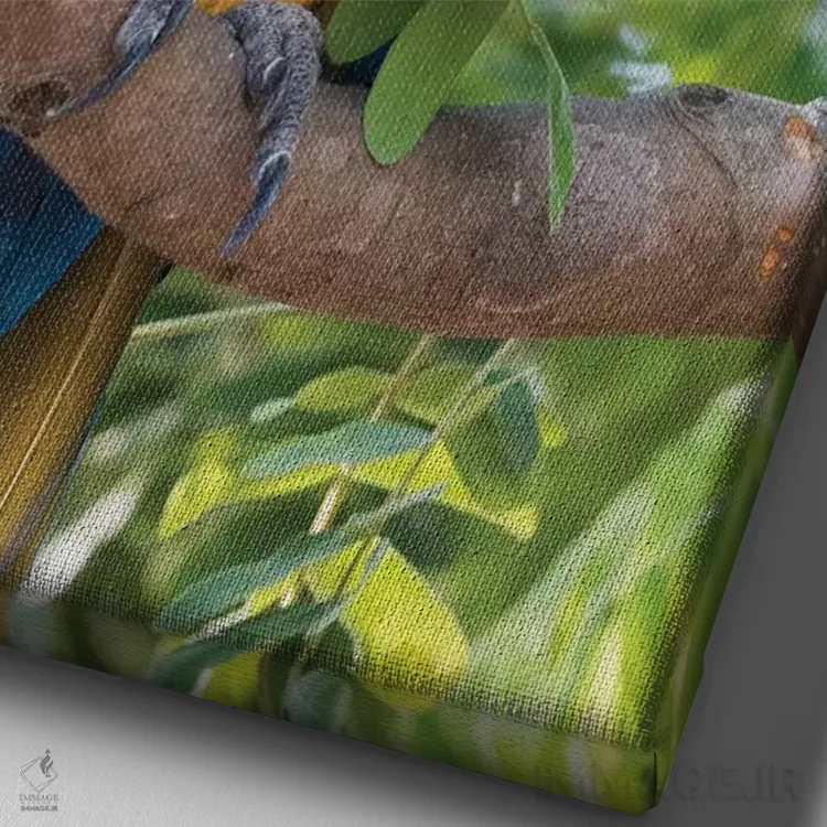 تابلو دکوراتیو ماکائوی آبی و طلایی اثر کن آرچر - نمای نزدیک بافت بوم