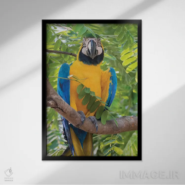 تابلو دکوراتیو ماکائوی آبی و طلایی اثر کن آرچر - نمای قابدار مشکی