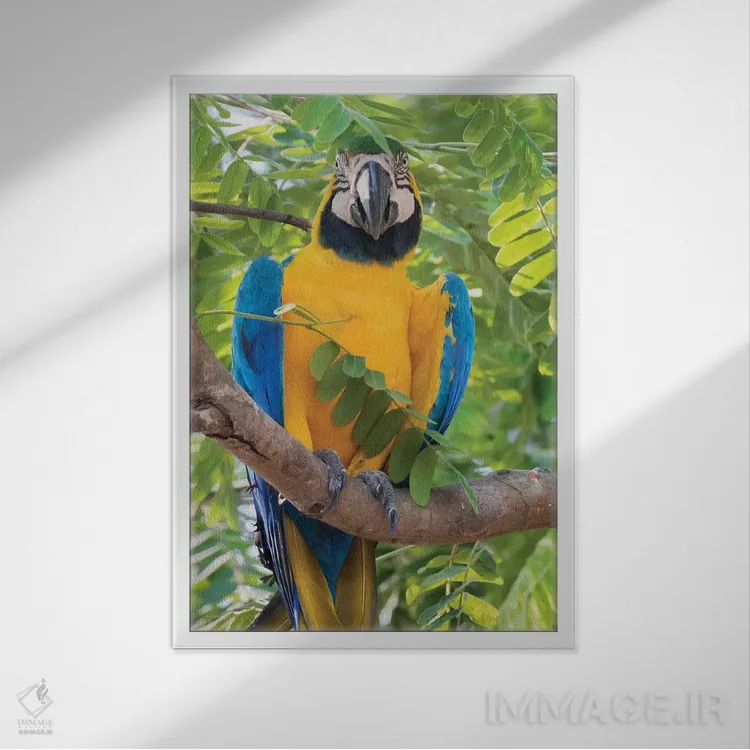 تابلو دکوراتیو ماکائوی آبی و طلایی اثر کن آرچر - نمای قابدار سفید