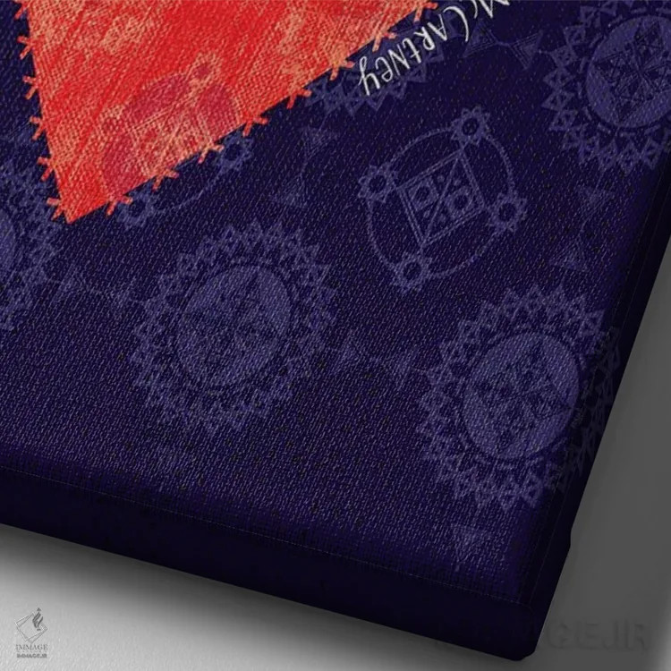 تابلو دکوراتیو و در پایان اثر چایا شرادر - نمای نزدیک بافت بوم