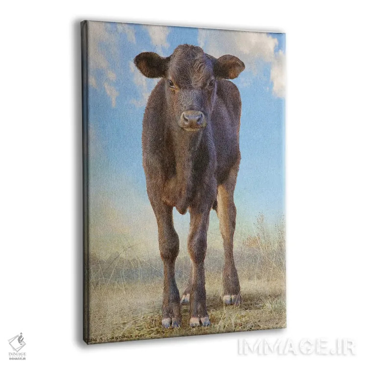 تابلو دکوراتیو گوساله سیاه بامزه اثر کریستوفر وست - نمای پرسپکتیو محصول