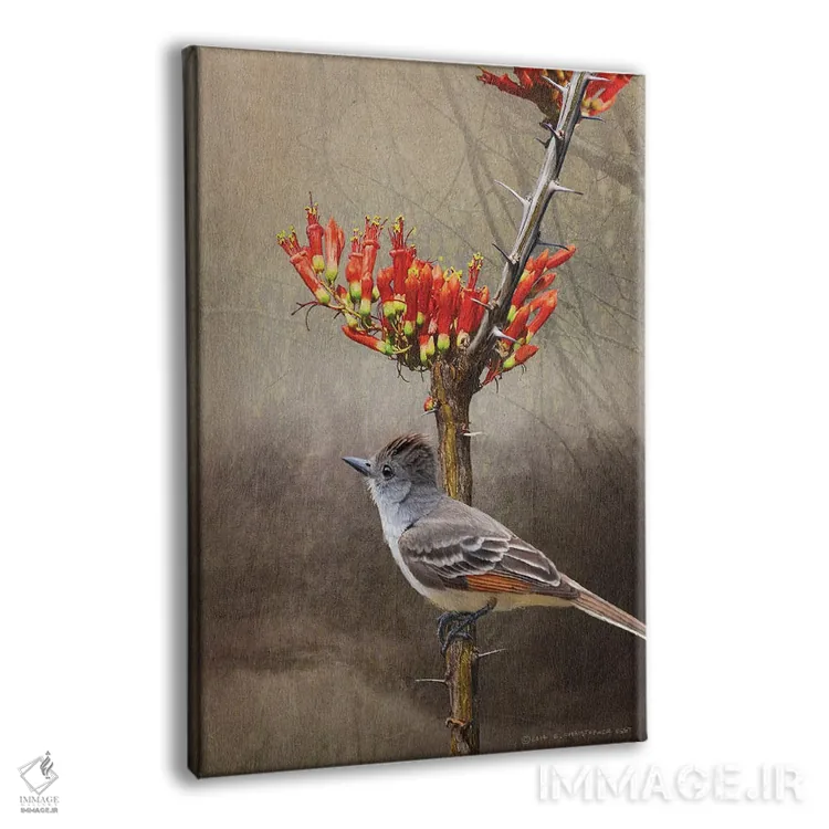 تابلو دکوراتیو مگس گیر اوکوتیلو اثر کریستوفر وست - نمای پرسپکتیو محصول