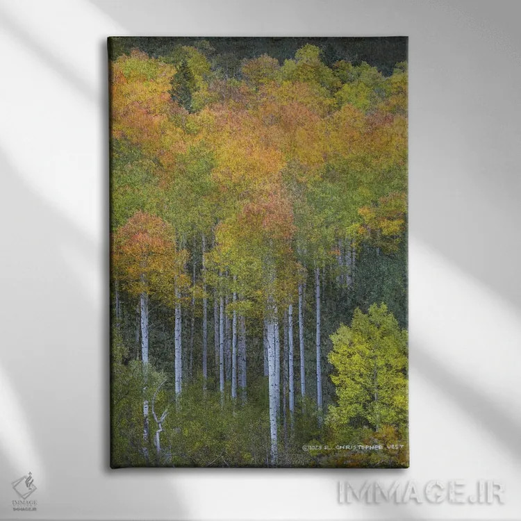 تابلو دکوراتیو سپیدار انتزاعی طبیعی اثر کریستوفر وست - نمای روبهرو روی دیوار