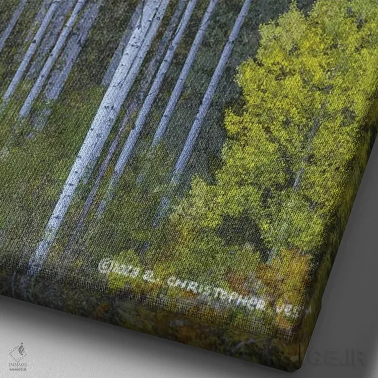 تابلو دکوراتیو سپیدار انتزاعی طبیعی اثر کریستوفر وست - نمای نزدیک بافت بوم