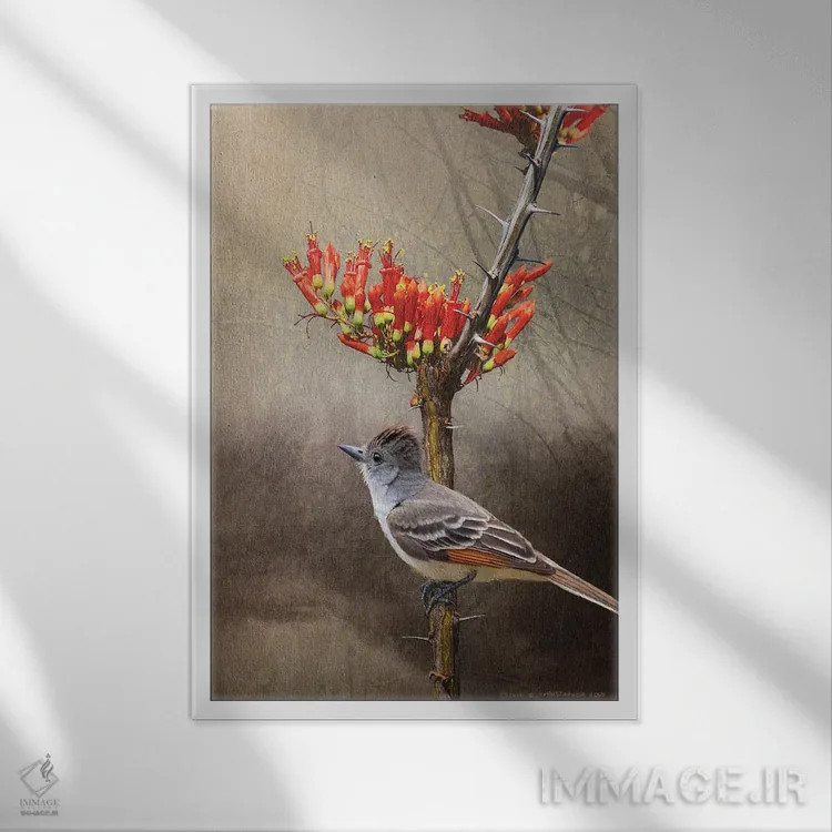 تابلو دکوراتیو مگس گیر اوکوتیلو اثر کریستوفر وست - نمای قابدار سفید