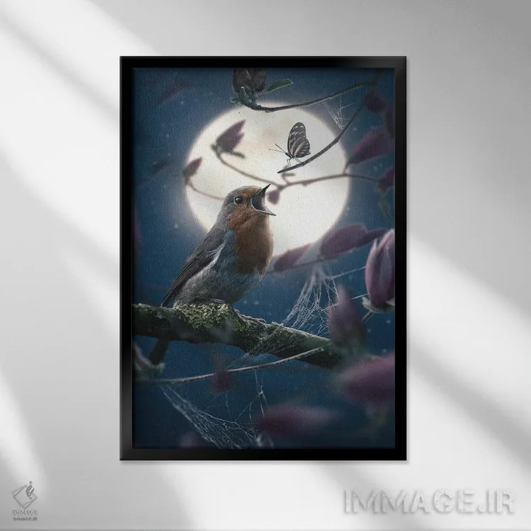 تابلو دکوراتیو پروانه و فنچ اروپایی اثر آدام کازینز - نمای قابدار مشکی