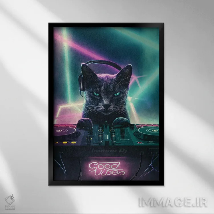 تابلو دکوراتیو گربه دی جی اثر آدام کازینز - نمای قابدار مشکی