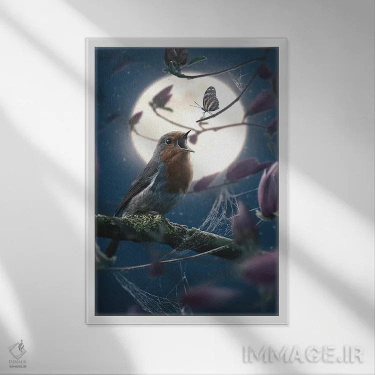 تابلو دکوراتیو پروانه و فنچ اروپایی اثر آدام کازینز - نمای قابدار سفید