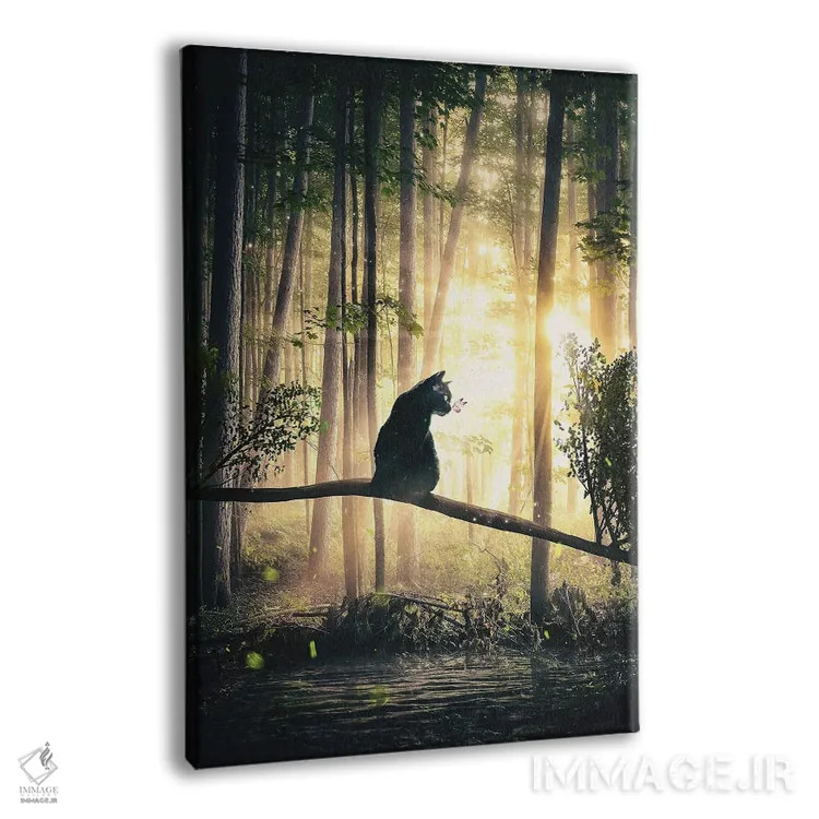 تابلو دکوراتیو گربه مشکی در جنگل اثر آدام کازینز - نمای پرسپکتیو محصول