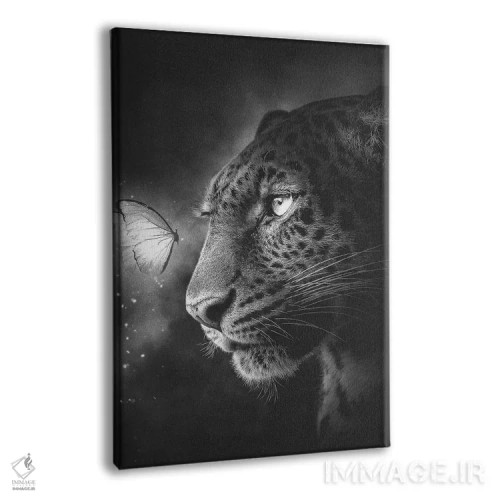 تابلو دکوراتیو پلنگ خالدار و پروانه اثر آدام کازینز - نمای پرسپکتیو محصول