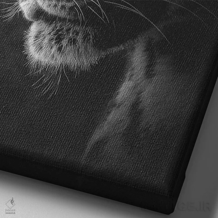 تابلو دکوراتیو پلنگ خالدار و پروانه اثر آدام کازینز - نمای نزدیک بافت بوم