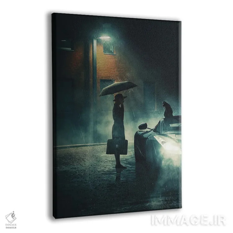 تابلو دکوراتیو ملاقات شبانه اثر آدام کازینز - نمای پرسپکتیو محصول