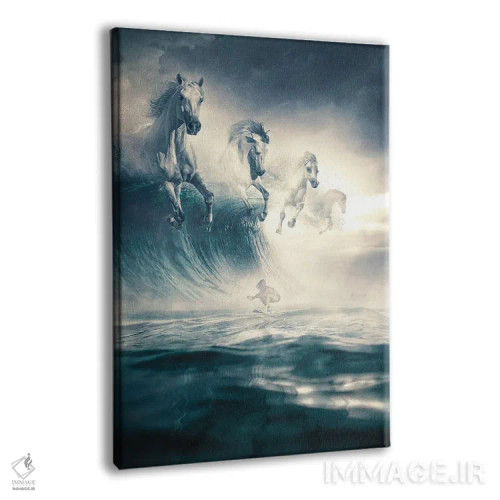 تابلو دکوراتیو اسب های سفید اثر آدام کازینز - نمای پرسپکتیو محصول
