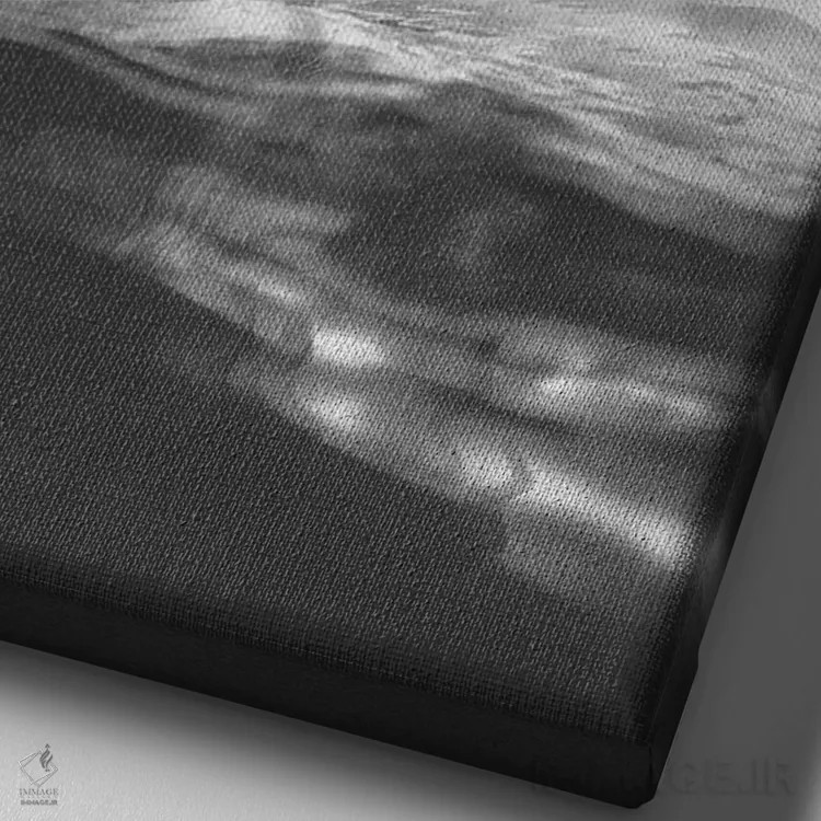 تابلو دکوراتیو اسب های سفید اثر آدام کازینز - نمای نزدیک بافت بوم