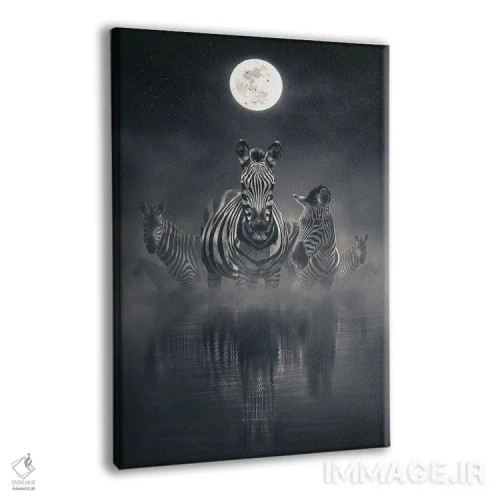 تابلو دکوراتیو گورخرها در شب اثر آدام کازینز - نمای پرسپکتیو محصول