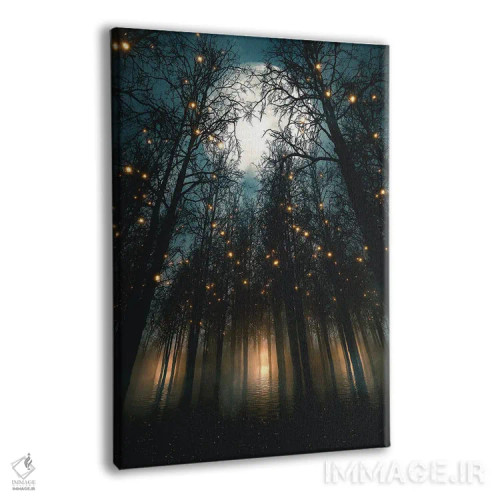 تابلو دکوراتیو شب های مهتابی زیر نور جنگل اثر آدام کازینز - نمای پرسپکتیو محصول