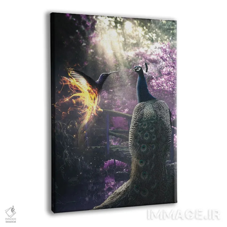 تابلو دکوراتیو طاووس و مرغ مگس خوار اثر آدام کازینز - نمای پرسپکتیو محصول
