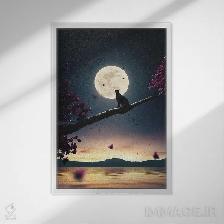 تابلو دکوراتیو گربه سیاه و ماه اثر آدام کازینز - نمای قابدار سفید