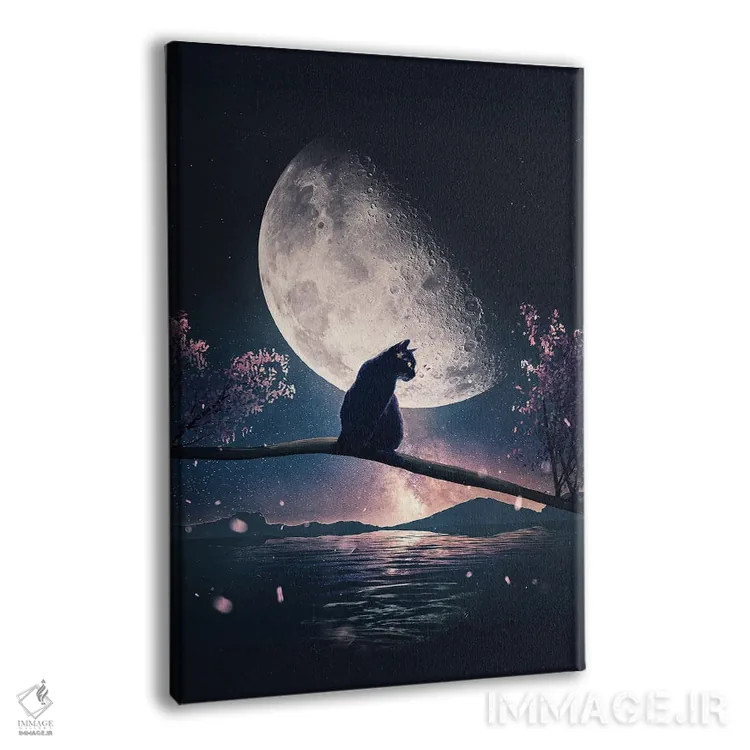 تابلو دکوراتیو گربه سیاه و ماه اثر آدام کازینز - نمای پرسپکتیو محصول