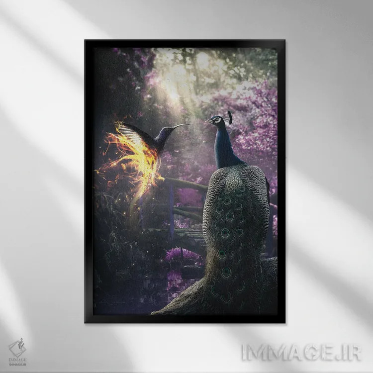 تابلو دکوراتیو طاووس و مرغ مگس خوار اثر آدام کازینز - نمای قابدار مشکی