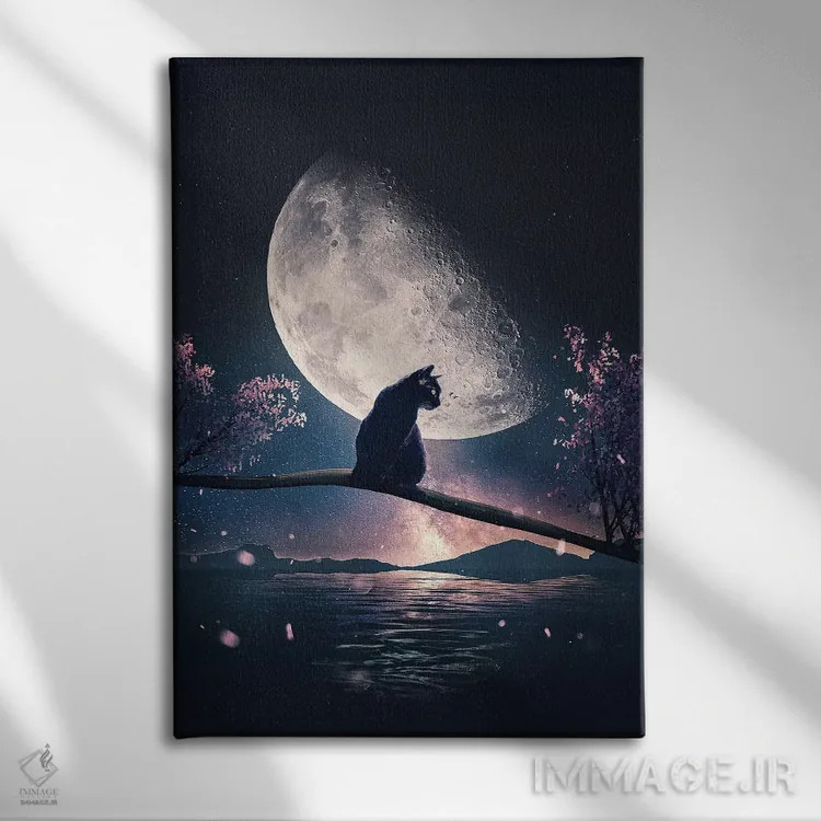 تابلو دکوراتیو گربه سیاه و ماه اثر آدام کازینز - نمای روبهرو روی دیوار