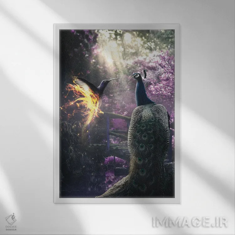 تابلو دکوراتیو طاووس و مرغ مگس خوار اثر آدام کازینز - نمای قابدار سفید