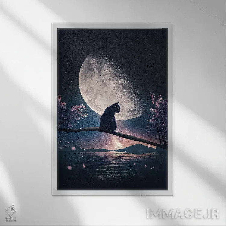 تابلو دکوراتیو گربه سیاه و ماه اثر آدام کازینز - نمای قابدار سفید