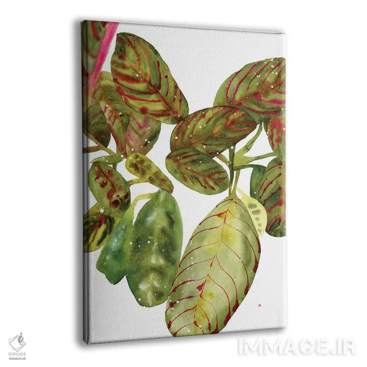 تابلو مدرن گیاه دعایی اثر کریتیو اینگرید - نمای پرسپکتیو محصول
